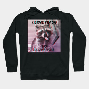 I Love Trash so I Love You Hoodie